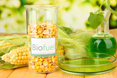 Chidden biofuel availability